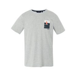 Koszulka Regatta Cline IX. Szare koszulki sportowe męskie Regatta, na lato, bez wzorów, bez kołnierzyka, bez ramiączek, trekkingowe. Za 121.00 zł.