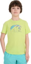 Koszulka dla chłopca 4F M1917 soczysta zieleń 4FJWSS25TTSHM1917 45S 158cm. Zielone t-shirty dla chłopców 4f, bez wzorów, bez ramiączek. Za 39.70 zł.