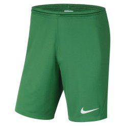 Spodnie sportowe męskie Nike Dry Park Iii. Zielone spodnie sportowe męskie Nike, l, z aplikacjami, z materiału, na fitness i siłownię, dri-fit (nike). Za 133.00 zł.