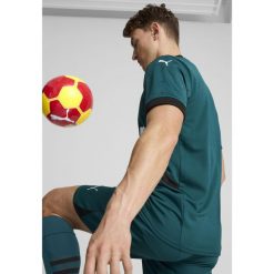 Męska koszulka wyjazdowa RC Lens 24/25 PUMA Varsity Green Black. Czarne koszulki sportowe męskie Puma, m, bez wzorów, ze lnu, bez kołnierzyka, bez ramiączek, do piłki nożnej. W wyprzedaży za 331.00 zł.