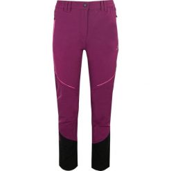 Spodnie damskie Athl. Dpt Katana Ciemnofioletowa. Fioletowe spodnie sportowe damskie GALEO, bez wzorów, z elastanu, trekkingowe. Za 301.99 zł.