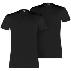 Koszulka męska Puma Basic 2p Crew Tee. Czarne koszulki sportowe męskie Puma, m, bez wzorów, bez kołnierzyka, bez ramiączek, do biegania. Za 124.25 zł.