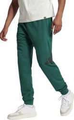 Spodnie męskie adidas Essentials Big Logo French Terry zielone JE8971 S. Zielone spodnie sportowe męskie Adidas, m, bez wzorów. Za 228.99 zł.
