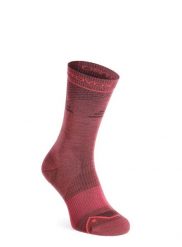 Skarpety merino damskie Ortovox Alpine Pro Comp Mid Socks. Czerwone skarpety damskie ORTOVOX, bez wzorów, z materiału. Za 141.79 zł.