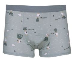 Bokserki Obcisłe, Szare w Mewy, Bawełniane, Majtki z Elastanem -ALTIES. Szare bokserki męskie Alties, m, bez wzorów, z bawełny. Za 35.00 zł.