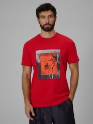 4F T-shirt regular z nadrukiem męski - czerwony S. Czerwone t-shirty męskie 4f, m, bez wzorów, z bawełny, bez kołnierzyka. Za 59.99 zł.