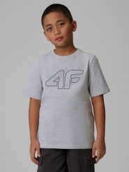 4F T-shirt regular z nadrukiem chłopięcy - szary 146 (10-11 lat). Szare t-shirty dla chłopców 4f, bez wzorów, z bawełny, bez ramiączek. Za 39.99 zł.