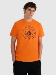 4F T-shirt regular z nadrukiem męski - pomarańczowy XXL. Brązowe t-shirty męskie 4f, m, bez wzorów, z materiału, bez kołnierzyka. Za 59.99 zł.