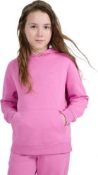 4f Bluza dla dziewczynki 4F F1953 różowa 4FJWAW25TSWSF1953 54S 158cm. Czerwone bluzy dla dziewczynek 4f, bez wzorów, bez ramiączek, bez kaptura. Za 94.15 zł.