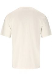 T-shirt Whistler Cashew. Szare t-shirty męskie Whistler, l, bez wzorów, z bawełny, eleganckie, bez kołnierzyka. Za 120.00 zł.