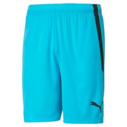 Spodenki sportowe męskie Puma Teamliga. Niebieskie krótkie spodenki sportowe męskie Puma, m, bez wzorów, z materiału, na fitness i siłownię. Za 79.99 zł.