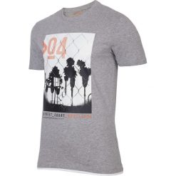 T-shirt męski TSM004 - chłodny jasny szar. T-shirty męskie 4f, m, bez wzorów, z bawełny, bez kołnierzyka. W wyprzedaży za 29.99 zł.