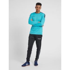 Hummel koszulka męska z długim rękawem hml Authentic Poly Jersey. Fioletowe koszulki sportowe męskie Hummel, m, bez wzorów, z jersey, bez kołnierzyka, bez ramiączek, do piłki ręcznej. Za 91.00 zł.