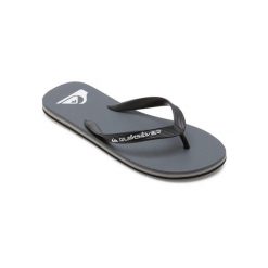 Klapki dla Mężczyzn MOLOKAI CORE. Szare klapki męskie Quiksilver, z gumy, sportowe. Za 89.99 zł.