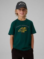 4F Хлопчачий t-shirt regular з принтом - зелений 122. T-shirty damskie 4f, bez wzorów, z jersey, bez kołnierzyka. Za 459.90 zł.