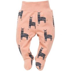 Pinokio Spodnie Dziecięce Happy Llama 68 Różowe/Niebieskie. Śpioszki niemowlęce marki Pinokio. Za 35.00 zł.
