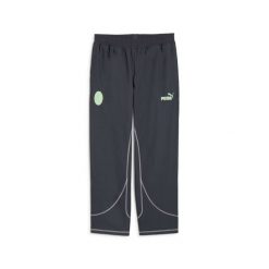 Spodnie dresowe Milan AC 2024/25. Szare spodnie sportowe męskie Puma, bez wzorów, z dresówki, do piłki nożnej. Za 359.00 zł.