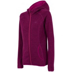4F Damska Bluza H4Z17 pld002 Fiolet Purpurowy Xs. Fioletowe bluzy sportowe damskie 4f, z polaru. W wyprzedaży za 89.00 zł.