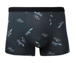 Bokserki Obcisłe, Grafitowe w Listki, Bawełniane, Majtki z Elastanem -ALTIES. Szare bokserki męskie Alties, l, bez wzorów, z bawełny. Za 35.00 zł.