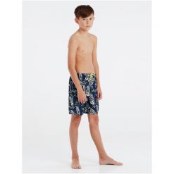 Spodenki chłopięce Protest PRTACID JR beachshort. Szorty dla chłopców Protest, bez wzorów, sportowe. Za 189.99 zł.