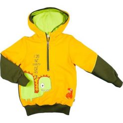 Mmdadak Bluza Chłopięca Dinosaurus 128 Żółty/Zielony. Bluzy dla chłopców marki Mmdadak. Za 53.00 zł.