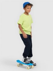 4F T-shirt regular gładki chłopięcy - zielony 140 (9-10 lat). Zielone t-shirty dla chłopców 4f, bez wzorów, z bawełny, bez ramiączek. Za 29.99 zł.