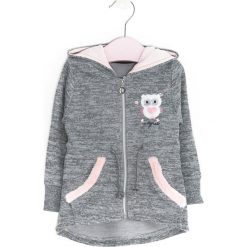 Szara Bluza Discrepancy. Szare bluzy dla dziewczynek marki Born2be, na jesień. Za 49.99 zł.