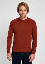 LEE MĘSKI SWETER CLEAN RAGLAN SWEATER SWEET MAPLE 112355672 LD46014970. Swetry przez głowę męskie Lee, m, bez wzorów, bez kołnierzyka. Za 199.99 zł.