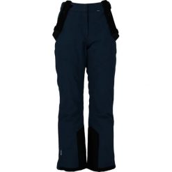Spodnie narciarskie dla kobiet Whistler Drizzle Pro. Niebieskie spodnie materiałowe damskie Whistler, na zimę, bez wzorów, sportowe, narciarskie. Za 319.99 zł.