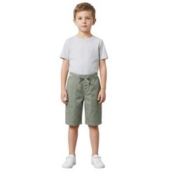 Spodenki chłopięce Lacoste. Zielone szorty dla chłopców Lacoste, na lato, z aplikacjami, z bawełny, eleganckie. Za 117.00 zł.
