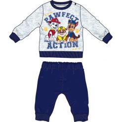 Disney By Arnetta Piżama Chłopięca Paw Patrol, 80, Szara/Niebieska. Bielizna dla chłopców marki Disney By Arnetta. Za 55.00 zł.