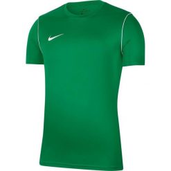Męska Koszulka Z Krótkim Rękawem Dry Park 20. Zielone koszulki sportowe męskie Nike, m, bez wzorów, bez kołnierzyka, bez ramiączek, trekkingowe. Za 96.99 zł.
