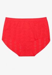 Czerwona Bielizna Modelująca Majtki High Waist Lilialira. Czerwona bielizna wyszczuplająca Renee, z jeansu. Za 9.99 zł.