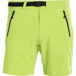 Bogner Fire + Ice TUX Szorty yellow. Krótkie spodenki sportowe męskie marki Bogner Fire + Ice, z elastanu, sportowe. Za 419.00 zł.