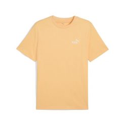 Męska koszulka Essentials z małym logo No. 1 PUMA Almost Apricot Orange. Brązowe buty sportowe męskie Puma, m, bez wzorów, bez kołnierzyka, bez ramiączek, na fitness i siłownię. Za 170.50 zł.
