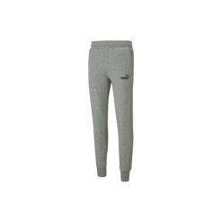 Spodnie męskie Puma Essentials Slim. Szare spodnie sportowe męskie Puma, m, bez wzorów, z bawełny, na fitness i siłownię. Za 240.00 zł.