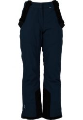 Spodnie narciarskie dla kobiet Whistler Drizzle Pro. Szare spodnie materiałowe damskie Whistler, l, bez wzorów, z poliesteru, narciarskie. Za 319.99 zł.