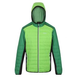 Męska Kurtka Trutton II Baffled Padded Jacket. Zielone kurtki męskie Regatta, m, bez wzorów, z puchu, trekkingowe. Za 142.99 zł.