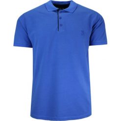 Koszulka POLO, Chabrowa Casualowa, Męska, Krótki Rękaw, Jednokolorowa, T-shirt -EXPOMAN. Niebieskie koszulki polo męskie Expoman, m, bez wzorów, z bawełny, casualowe, bez ramiączek. Za 109.00 zł.