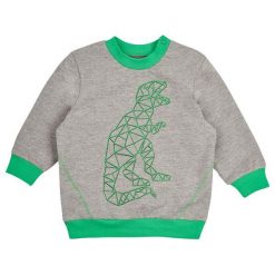 Garnamama Chłopięca Bluza Z Dinozaurem 74 Szara/Zielona. Bluzy dla chłopców marki Garnamama. Za 55.00 zł.