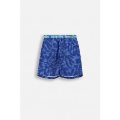 Spodenki treningowe dla chłopca Lemon Explore WL6 wielokolorowe do kolan. Spodnie sportowe dla chłopców LEMON explore, bez wzorów, z elastanu, sportowe, krótkie, na fitness i siłownię. Za 49.90 zł.