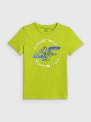 4F T-shirt loose z nadrukiem chłopięcy - zielony 158 (12-13 lat). Zielone t-shirty dla chłopców 4f, bez wzorów, z bawełny, bez ramiączek. Za 49.99 zł.