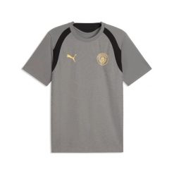 Koszulka Manchesteru City. Niebieskie koszulki sportowe męskie Puma, l, bez wzorów, z materiału, bez kołnierzyka, bez ramiączek, na fitness i siłownię. Za 246.50 zł.