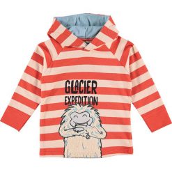 Bluza w kolorze czerwonym. Bluzy dla chłopców marki bonprix. W wyprzedaży za 59.95 zł.