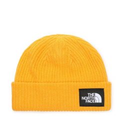 Czapka The North Face. Żółte czapki i kapelusze męskie The North Face, na zimę, bez wzorów. Za 159.99 zł.