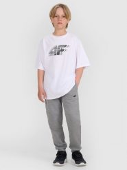 4F Spodnie dresowe joggery chłopięce - szare 152 (11-12 lat). Szare spodnie sportowe dla chłopców 4f, bez wzorów, z bawełny, sportowe. Za 119.99 zł.