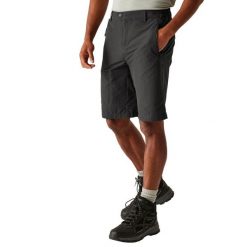 Męskie Spodenki Do Chodzenia Highton II O Długiej Długości. Szare szorty męskie Regatta, m, bez wzorów, z elastanu. Za 298.99 zł.
