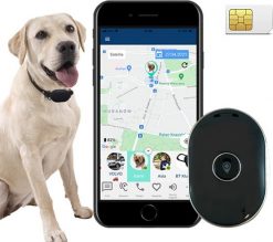 Calmean CALMEAN PetTracker Mini + obroża L/XL. Sandały męskie CALMEAN, bez zapięcia. Za 209.99 zł.