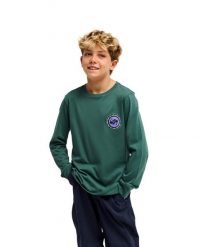 Koszulka dla Chłopcy EV DUALITY Zielony. Zielone t-shirty dla chłopców Quiksilver, bez wzorów, z bawełny, bez ramiączek. Za 84.99 zł.