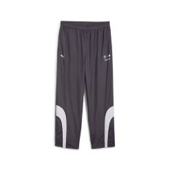 Spodnie dresowe Puma. Szare spodnie sportowe męskie Puma, m, bez wzorów, z dresówki. Za 295.50 zł.